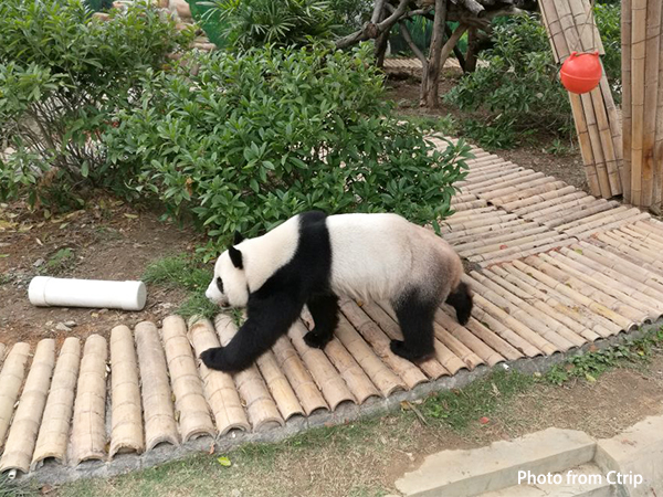 Liuzhou Zoo
