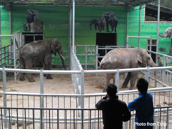 Liuzhou Zoo