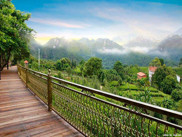 yearning-tea-plantation-tourist-attraction