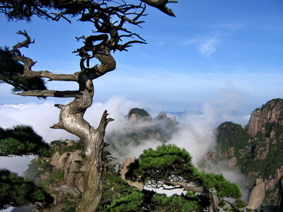 Mount Sanqingshan National Park