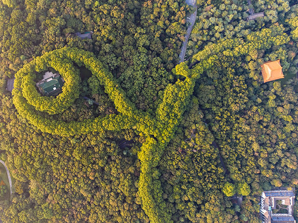 bird's eye view of Meiling Palace