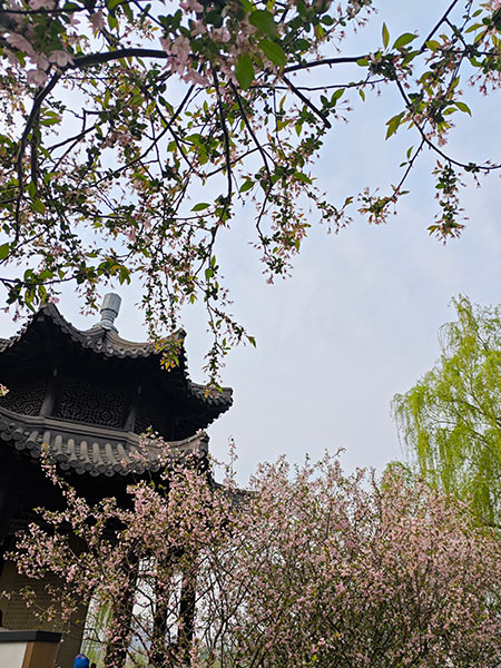 Mochou Lake Park