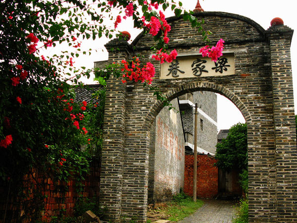 One Day Tour to Yangmei