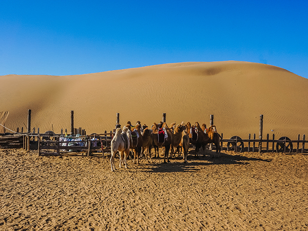 Resonant Sand Gorge