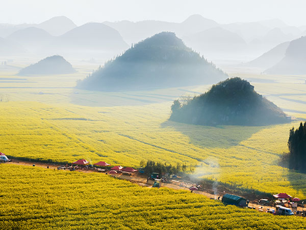 Best places to see spring blossoms in China