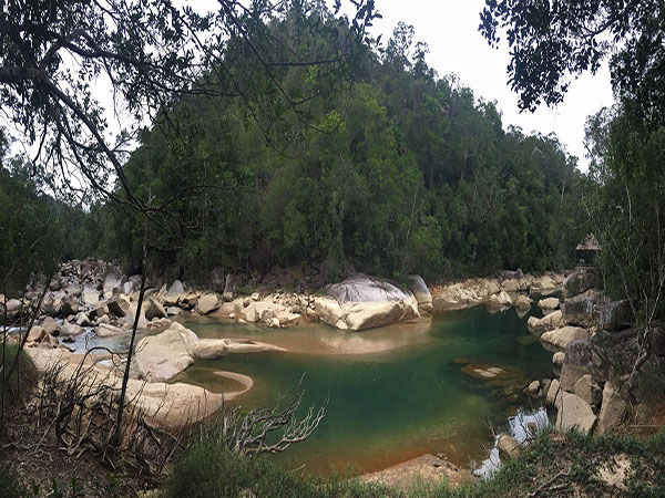 Tropical Rainforest of Jianfeng Mountain