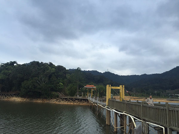 Tropical Rainforest of Jianfeng Mountain