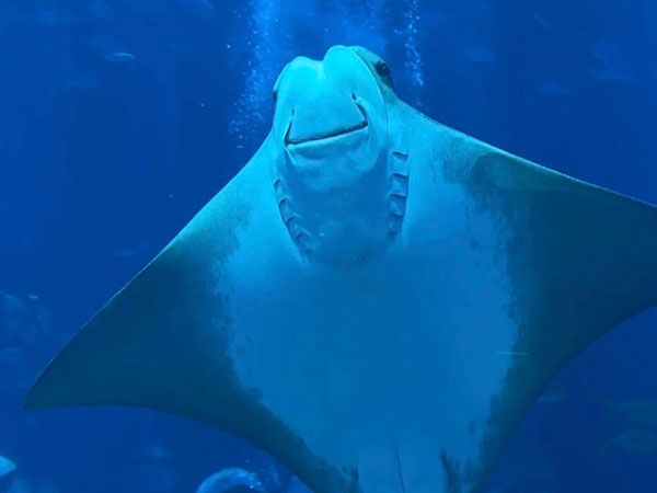 Sanya Atlantis Aquaventure Waterpark