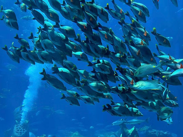 Atlantis Aquaventure Waterpark in Sanya