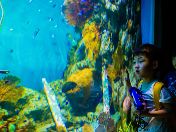 Shanghai Changfeng Ocean World