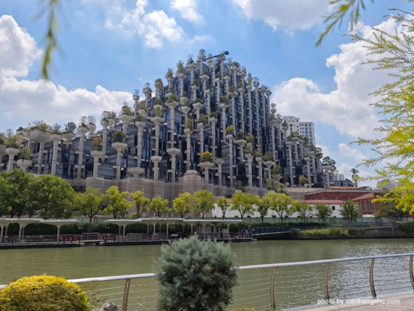 Shanghai Tian An 1000 Trees