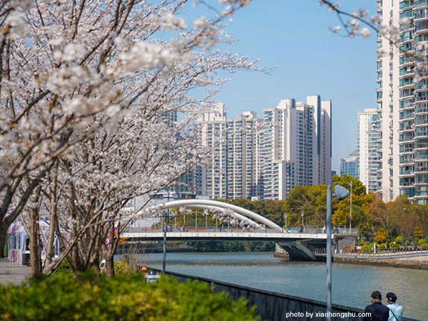 Shanghai Tian An 1000 Trees