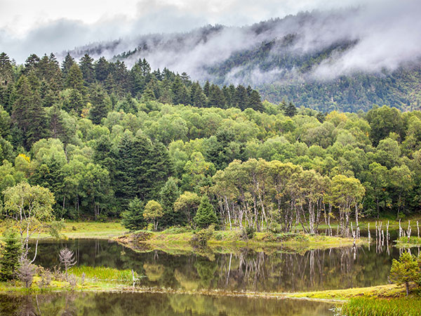 /pic/city/shangri-la/attractions/potatso-national-park-4.jpg