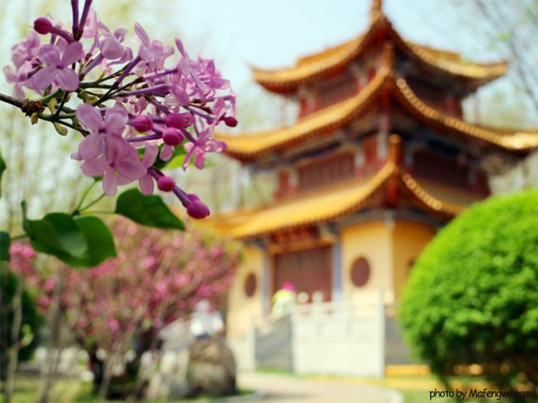 Shenyang Botanical Garden
