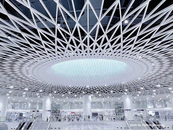 Eye of Shenzhen: Gangxia North Station