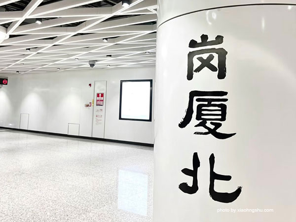 Eye of Shenzhen: Gangxia North Station