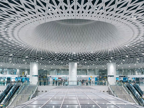 Eye of Shenzhen: Gangxia North Station