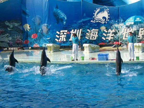 Shenzhen Sea World