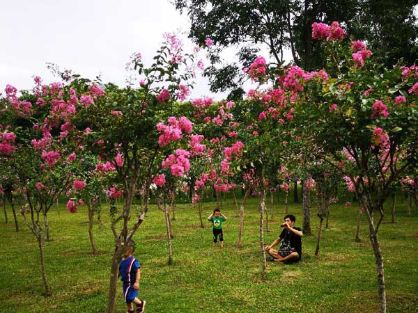 Shenzhen Lianhuashan Park
