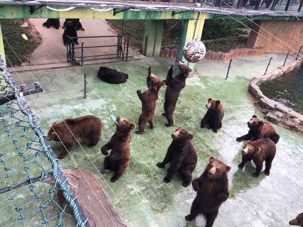 Shenzhen Wild Life Zoo