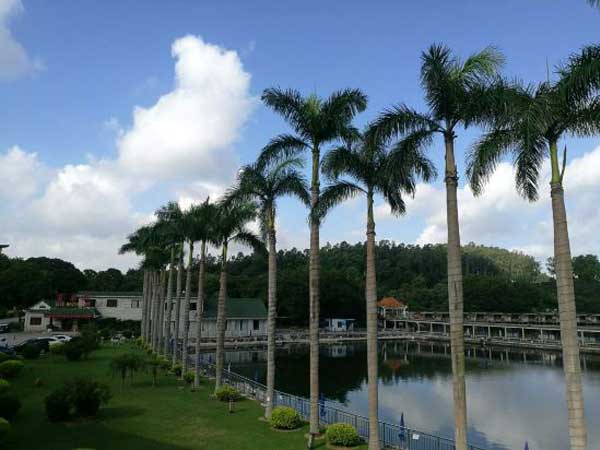 Xili Lake Resort