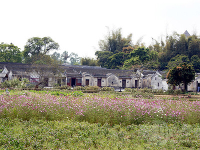 Popular Rural Places to Visit in Shenzhen