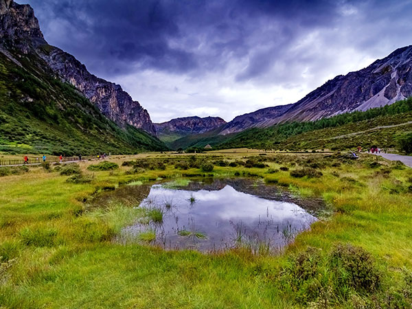 /pic/city/sichuan/daocheng/daocheng-5.jpg