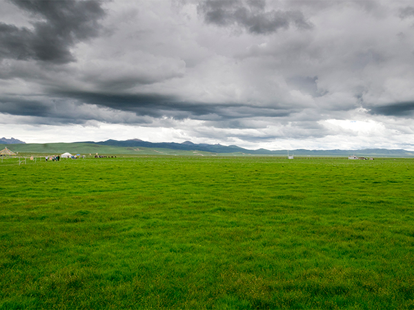 How to Plan a Trip to Ruoergai