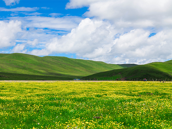 How to Plan a Trip to Ruoergai