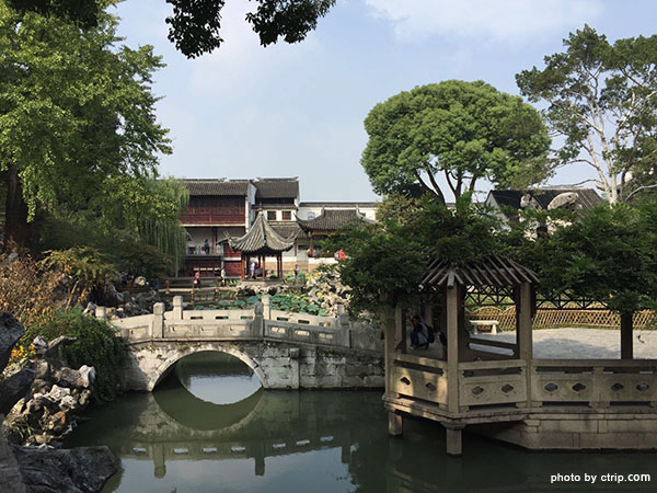 Lion Grove Garden