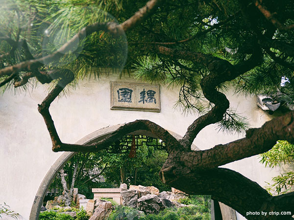 Couple's Retreat Garden
