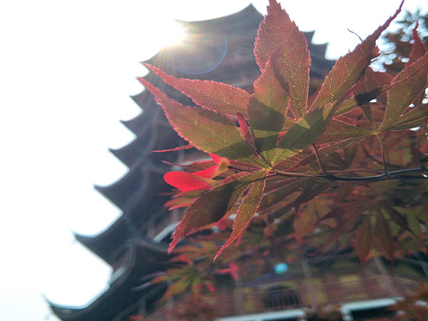 North Temple Pagoda