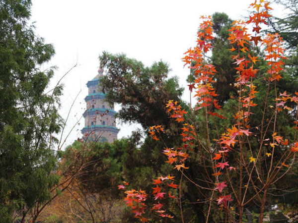 Fengsheng temple
