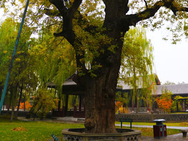 Jinci Temple