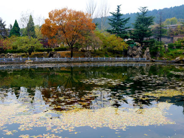 Jinxi academy