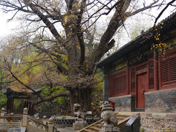 Wang Qiong Temple
