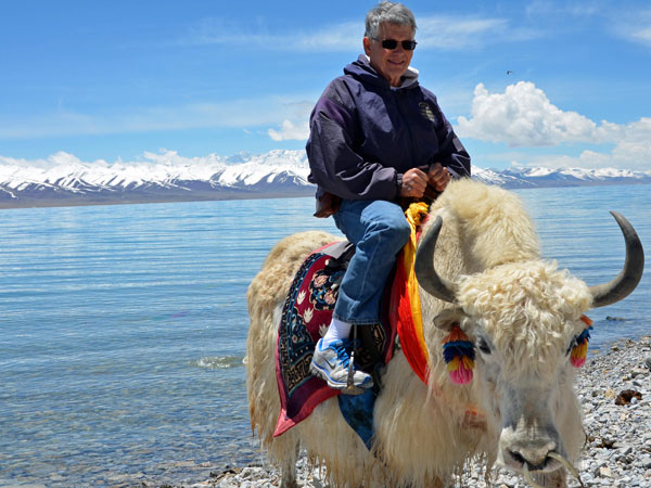 /pic/city/tibet/clients/tct-clients-yak-02.jpg