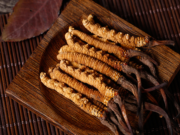 Tibetan Medicine
