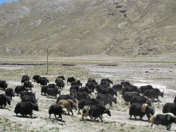 From Shigatse to Mount Everest