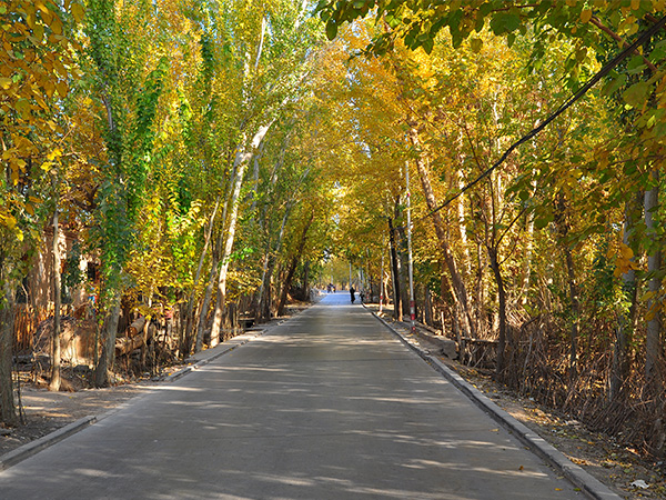 Grape Valley