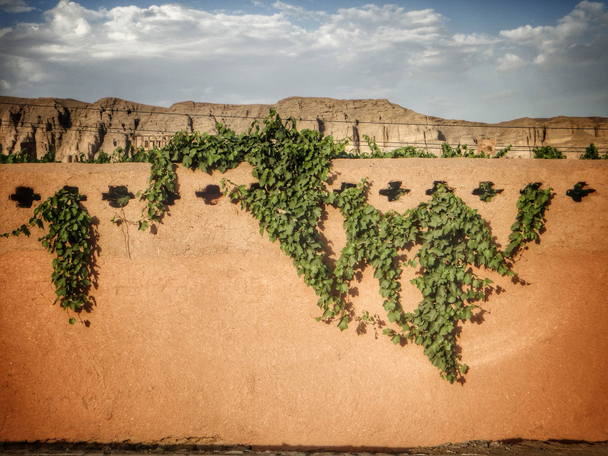 Grape Valley