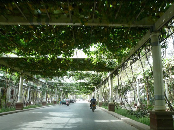 Way to Hami