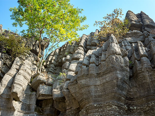 Suobuya Stone Forest