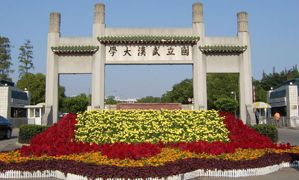 Cherry  Flower in Wuhan University