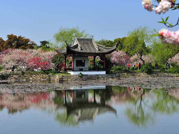 Best Places for Wuxi Spring Trip