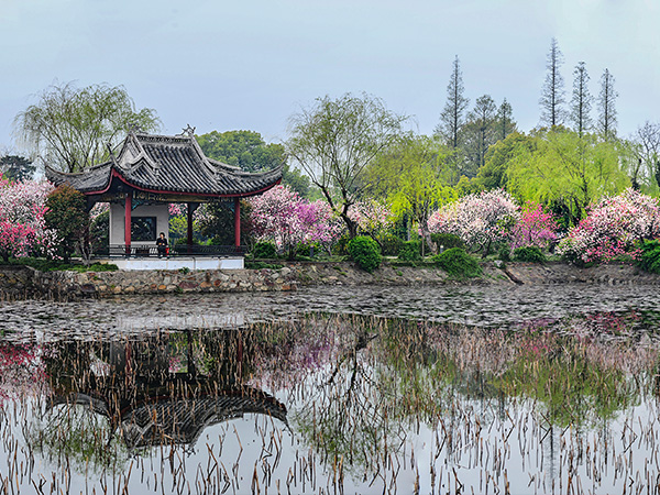Liyuan Garden Liyuan Garden
