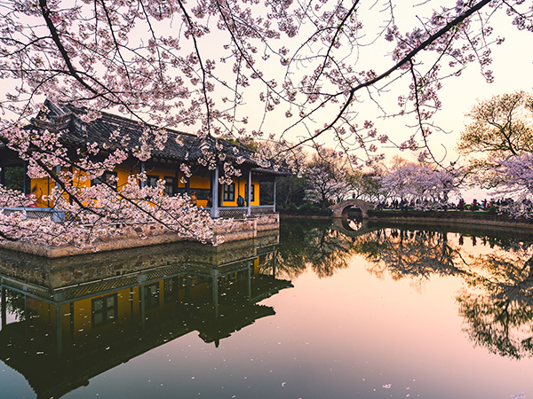 Tortoise Head Garden wuxi