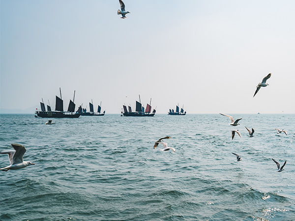 Yuantouzhu: Best Place to Enjoy Cherry Blossoms in Wuxi