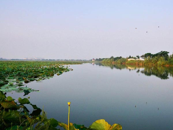 The Largest Lakes in China - Hongze Lake