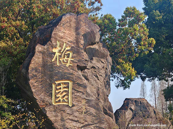 Plum Garden (Meiyuan Garden)